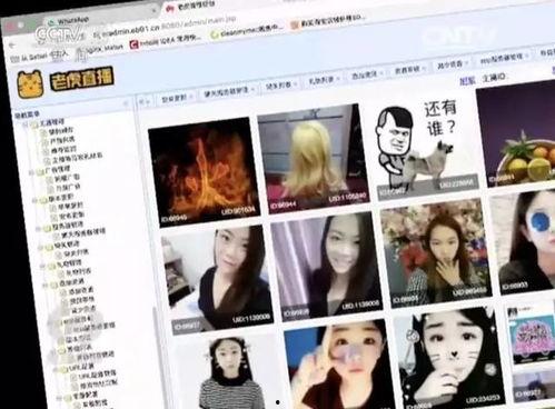 成人在线视频直播